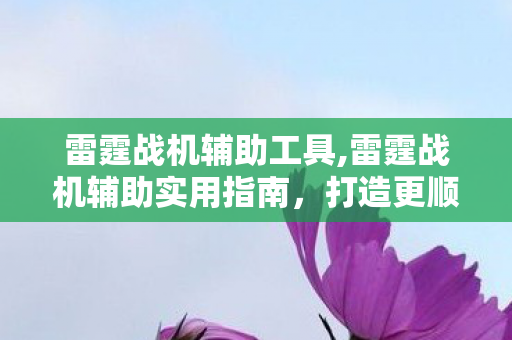 雷霆战机辅助工具,雷霆战机辅助实用指南，打造更顺畅的飞行射击游玩体验