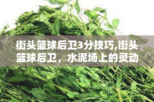 街头篮球后卫3分技巧,街头篮球后卫，水泥场上的灵动闪电