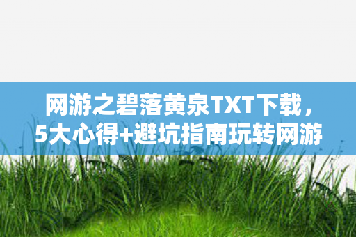 网游之碧落黄泉TXT下载，5大心得+避坑指南玩转网游之碧落黄泉的终极密码