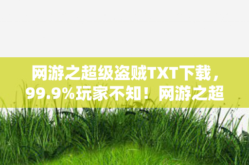 网游之超级盗贼TXT下载，99.9%玩家不知！网游之超级鬼才隐藏数值竟能改写战局？