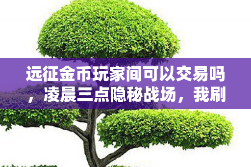 远征金币玩家间可以交易吗，凌晨三点隐秘战场，我刷金币的七小时，哽咽着和青春说了再见