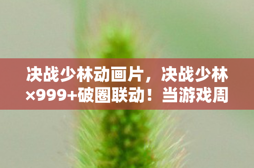 决战少林动画片,决战少林×999+破圈联动!当游戏周边堆成遗像墙,败家子的终极投名状 决战少林动画片,决战少林×999+破圈联动!当游戏周边堆成遗像墙,败家子的终极投名状