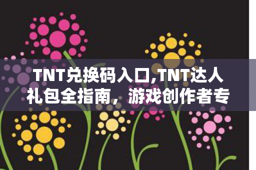TNT兑换码入口,TNT达人礼包全指南,游戏创作者专属福利解锁攻略 TNT兑换码入口,TNT达人礼包全指南,游戏创作者专属福利解锁攻略