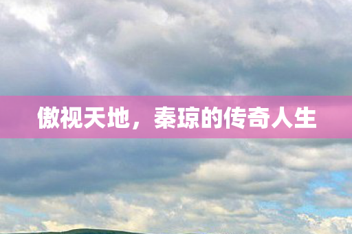 秦琼的传奇人生图片