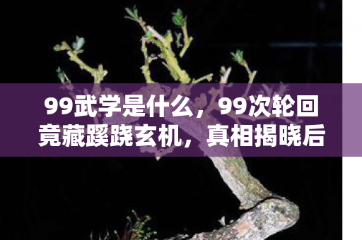 99武学是什么，99次轮回竟藏蹊跷玄机，真相揭晓后背发凉！