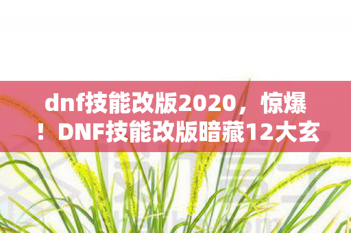 dnf技能改版2020，惊爆！DNF技能改版暗藏12大玄机，老玩家命运将被改写？