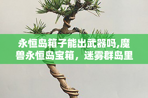 永恒岛箱子能出武器吗,魔兽永恒岛宝箱，迷雾群岛里藏了十年的冒险小确幸