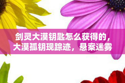 剑灵大漠钥匙怎么获得的,大漠孤钥现踪迹,悬案迷雾藏杀机,毛骨悚然真相谁人知? 剑灵大漠钥匙怎么获得的,大漠孤钥现踪迹,悬案迷雾藏杀机,毛骨悚然真相谁人知?