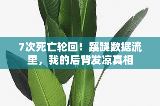 7次死亡轮回！蹊跷数据流里，我的后背发凉真相
