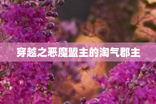穿越之恶魔盟主的淘气郡主图片