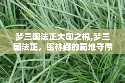 梦三国法正大国之棉,梦三国法正，密林间的蜀地守序者