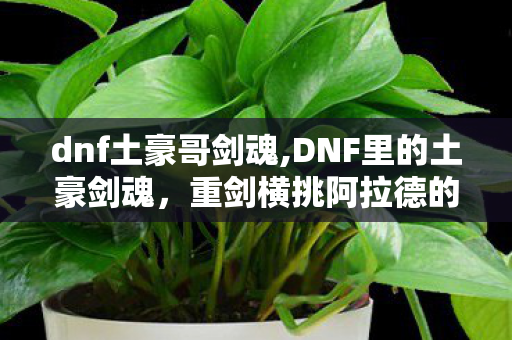 dnf土豪哥剑魂,DNF里的土豪剑魂,重剑横挑阿拉德的浪漫与热血 dnf土豪哥剑魂,DNF里的土豪剑魂,重剑横挑阿拉德的浪漫与热血
