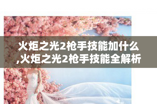 火炬之光2枪手技能加什么,火炬之光2枪手技能全解析,打造灵活多变的远程输出流派 火炬之光2枪手技能加什么,火炬之光2枪手技能全解析,打造灵活多变的远程输出流派