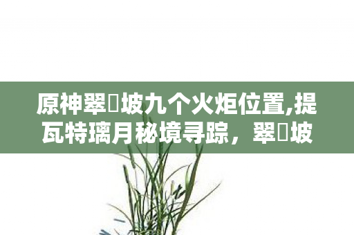 原神翠玦坡九个火炬位置,提瓦特璃月秘境寻踪,翠玦坡的风物与探索指南 原神翠玦坡九个火炬位置,提瓦特璃月秘境寻踪,翠玦坡的风物与探索指南