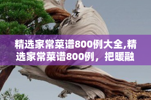 精选家常菜谱800例大全,精选家常菜谱800例，把暖融融的烟火气端上日常餐桌的实用美食指南