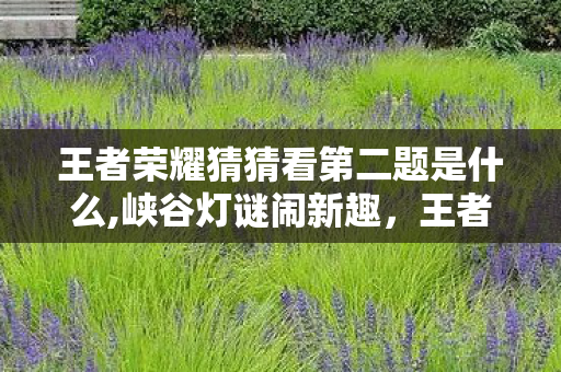 王者荣耀猜猜看第二题是什么,峡谷灯谜闹新趣,王者荣耀猜灯谜的欢乐打开方式 王者荣耀猜猜看第二题是什么,峡谷灯谜闹新趣,王者荣耀猜灯谜的欢乐打开方式