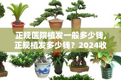 正规医院植发一般多少钱,正规植发多少钱？2024收费明细与避坑指南帮你算明白