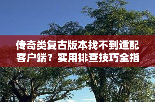 传奇类复古版本找不到适配客户端？实用排查技巧全指南