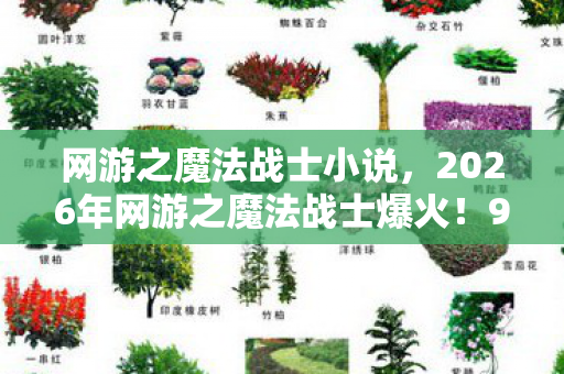 网游之魔法战士小说,2026年网游之魔法战士爆火!99%玩家卡关的终极谜题竟是…… 网游之魔法战士小说,2026年网游之魔法战士爆火!99%玩家卡关的终极谜题竟是……