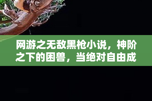 网游之无敌黑枪小说,神阶之下的困兽,当绝对自由成为命运最残酷的枷锁 网游之无敌黑枪小说,神阶之下的困兽,当绝对自由成为命运最残酷的枷锁