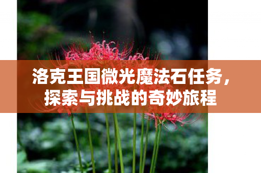 洛克王国微光魔法石任务图片