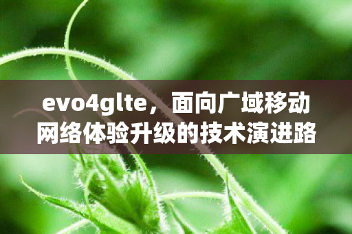 evo4glte,面向广域移动网络体验升级的技术演进路径 evo4glte,面向广域移动网络体验升级的技术演进路径