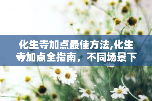化生寺加点最佳方法,化生寺加点全指南,不同场景下的最优属性搭配方案 化生寺加点最佳方法,化生寺加点全指南,不同场景下的最优属性搭配方案