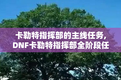卡勒特指挥部的主线任务,DNF卡勒特指挥部全阶段任务流程详解 卡勒特指挥部的主线任务,DNF卡勒特指挥部全阶段任务流程详解