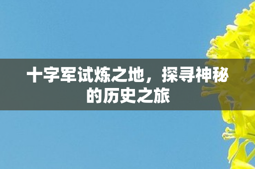 探寻神秘的历史之旅图片
