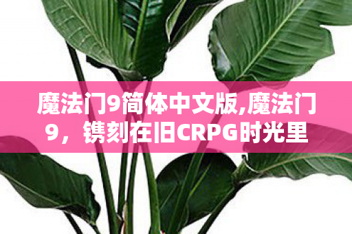 魔法门9简体中文版,魔法门9,镌刻在旧CRPG时光里的奇幻漫游诗 魔法门9简体中文版,魔法门9,镌刻在旧CRPG时光里的奇幻漫游诗