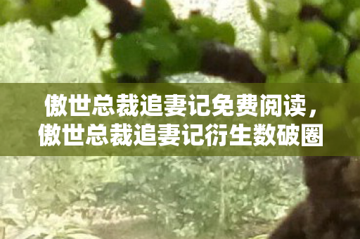 傲世总裁追妻记免费阅读,傲世总裁追妻记衍生数破圈!当手办堆成金字塔,我竟在泡面渣里挖出母爱盲盒 傲世总裁追妻记免费阅读,傲世总裁追妻记衍生数破圈!当手办堆成金字塔,我竟在泡面渣里挖出母爱盲盒