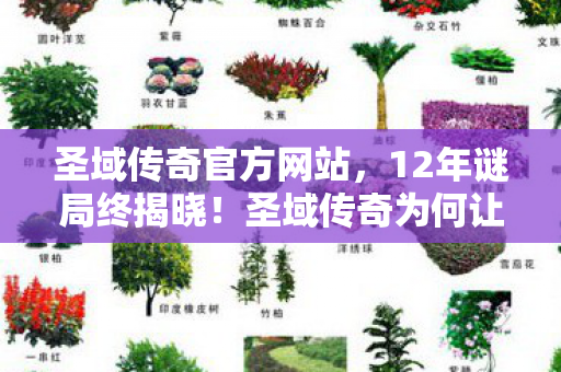 圣域传奇官方网站,12年谜局终揭晓!圣域传奇为何让百万玩家泪目? 圣域传奇官方网站,12年谜局终揭晓!圣域传奇为何让百万玩家泪目?