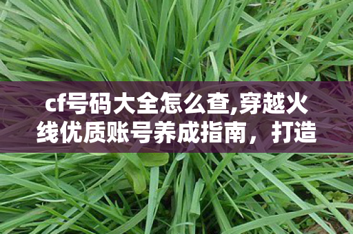 cf号码大全怎么查,穿越火线优质账号养成指南,打造属于你的专属高配游戏账号 cf号码大全怎么查,穿越火线优质账号养成指南,打造属于你的专属高配游戏账号