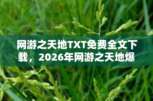 网游之天地TXT免费全文下载，2026年网游之天地爆火！99%玩家不知的隐藏剧情曝光？