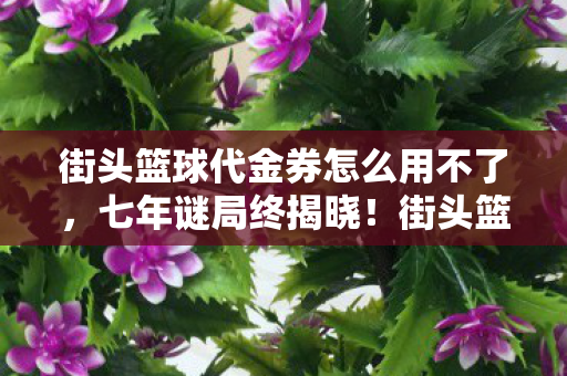街头篮球代金券怎么用不了,七年谜局终揭晓!街头篮球代金券竟成关服倒计时泪目信物 街头篮球代金券怎么用不了,七年谜局终揭晓!街头篮球代金券竟成关服倒计时泪目信物