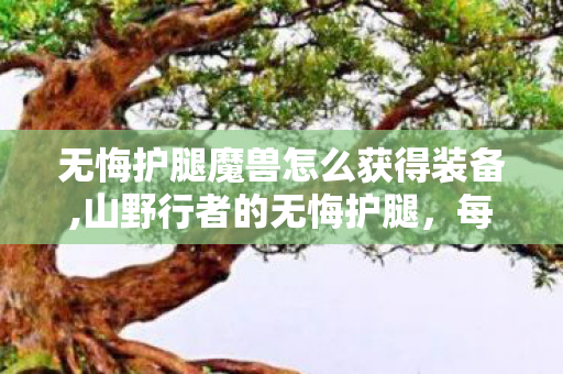 无悔护腿魔兽怎么获得装备,山野行者的无悔护腿,每道磨痕都是热爱的注脚 无悔护腿魔兽怎么获得装备,山野行者的无悔护腿,每道磨痕都是热爱的注脚