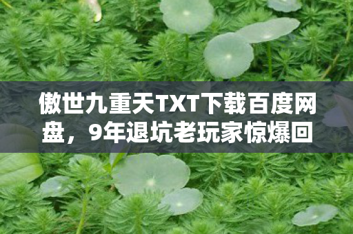 傲世九重天TXT下载百度网盘，9年退坑老玩家惊爆回归！傲世九重天燃文竟藏着这等惊天秘密？