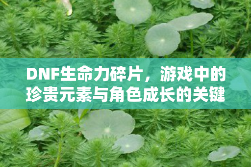 游戏中的珍贵元素与角色成长的关键图片