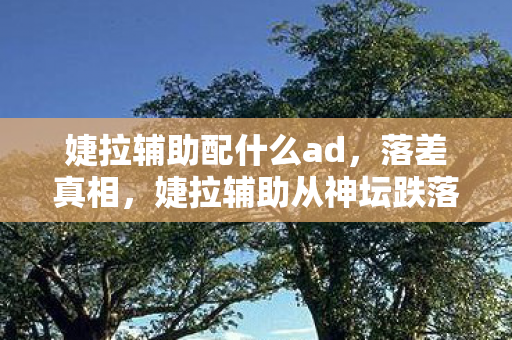 婕拉辅助配什么ad，落差真相，婕拉辅助从神坛跌落，笑着笑着，我竟哭了