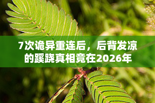 7次诡异重连后,后背发凉的蹊跷真相竟在2026年 7次诡异重连后,后背发凉的蹊跷真相竟在2026年