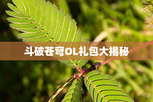 斗破苍穹OL礼包大揭秘图片