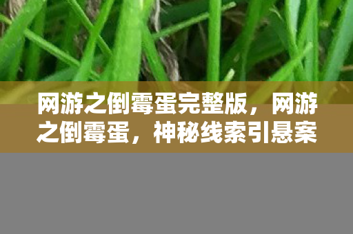 网游之倒霉蛋完整版,网游之倒霉蛋,神秘线索引悬案,毛骨悚然十年困局 网游之倒霉蛋完整版,网游之倒霉蛋,神秘线索引悬案,毛骨悚然十年困局