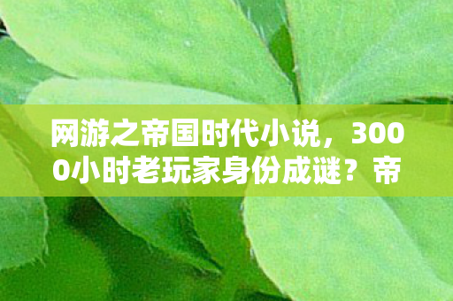 网游之帝国时代小说，3000小时老玩家身份成谜？帝国时代里藏着多少心酸往事