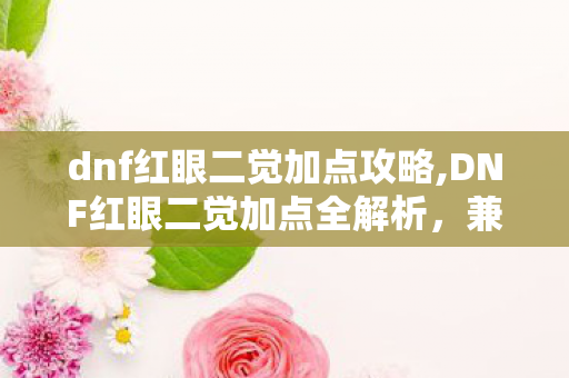 dnf红眼二觉加点攻略,DNF红眼二觉加点全解析，兼顾团本输出与日常搬砖的适配方案