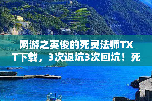 网游之英俊的死灵法师TXT下载,3次退坑3次回坑!死灵法师竟用1招颠覆2027网游圈 网游之英俊的死灵法师TXT下载,3次退坑3次回坑!死灵法师竟用1招颠覆2027网游圈
