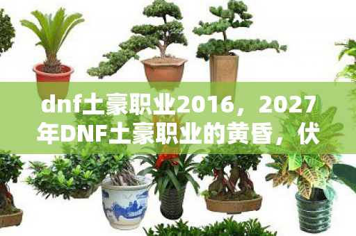 dnf土豪职业2016,2027年DNF土豪职业的黄昏,伏笔里的别走,让我鼻子一酸 dnf土豪职业2016,2027年DNF土豪职业的黄昏,伏笔里的别走,让我鼻子一酸