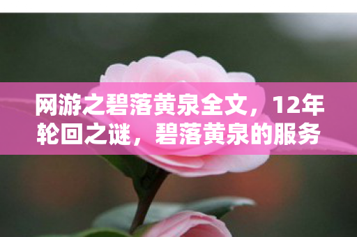 网游之碧落黄泉全文，12年轮回之谜，碧落黄泉的服务器为何在2038年集体熄灯？泪目真相