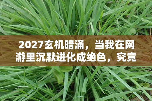 2027玄机暗涌，当我在网游里沉默进化成绝色，究竟得到了什么？