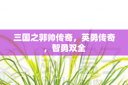 三国之郭帅传奇图片