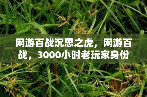 网游百战沉思之虎,网游百战,3000小时老玩家身份成谜,这心酸谁懂? 网游百战沉思之虎,网游百战,3000小时老玩家身份成谜,这心酸谁懂?